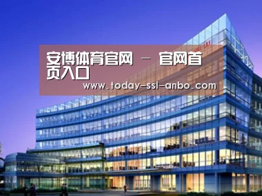 案例展示五