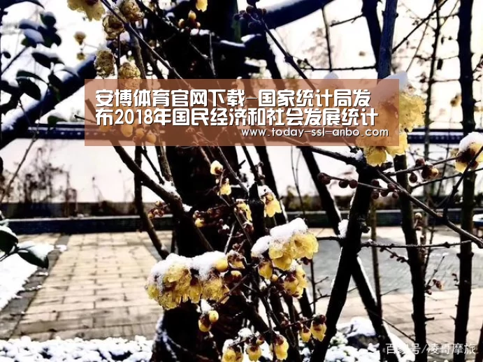 安博体育官网下载