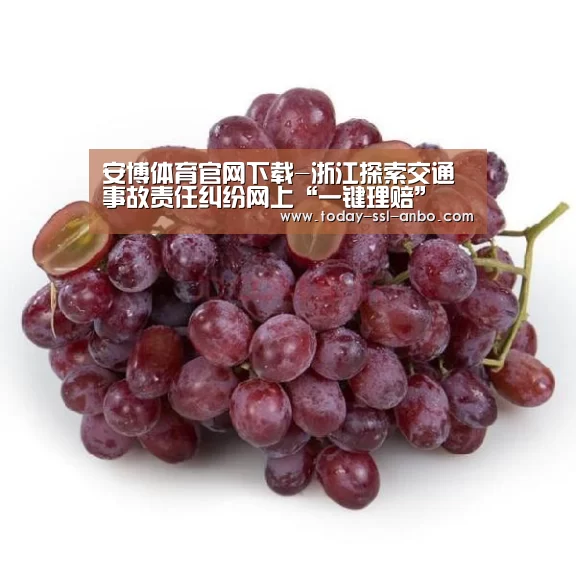 安博体育官网下载-浙江探索交通事故责任纠纷网上“一键理赔”(图1) 安博体育官网下载