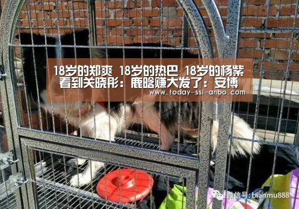 18岁的郑爽 18岁的热巴 18岁的杨紫 看到关晓彤:鹿晗赚大发了:安博体育官网下载(图2) 安博体育官网下载
