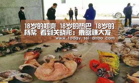 18岁的郑爽 18岁的热巴 18岁的杨紫 看到关晓彤:鹿晗赚大发了:安博体育官网下载(图3) 安博体育官网下载